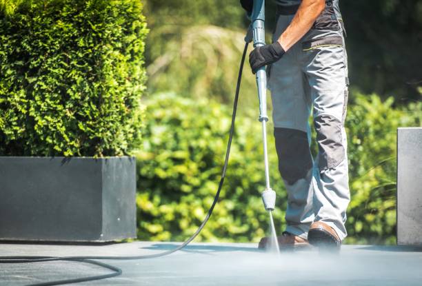 Animal Enclosure Cleaning in Fountain Green, UT